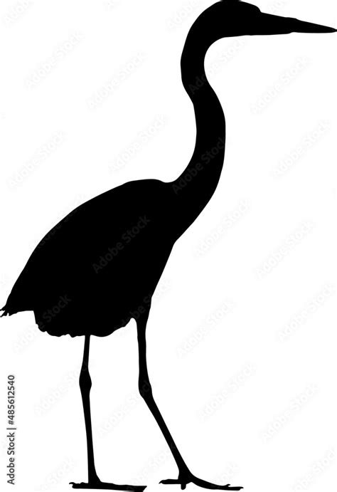 Great Blue Heron Silhouettes Great Blue Heron Svg Eps Png Stock Vector Adobe Stock