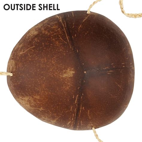 Beistle Coconut Shell Bra Bikini Top Review