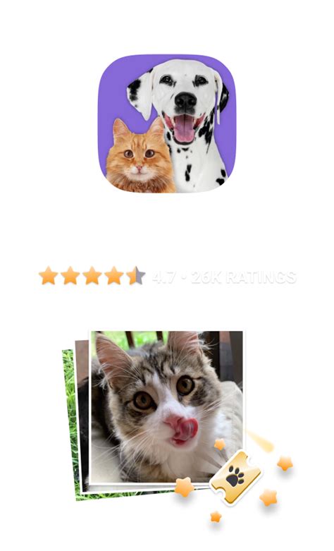 Cutest Cat Photo Contest