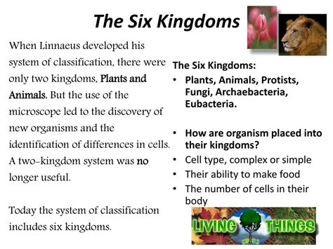 Ppt The 6 Kingdoms Of Life Powerpoint Presentation Free Download