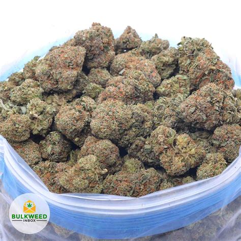 Master Kush Aaaa Budget Buds Buy Weed Online Bulkweedinbox