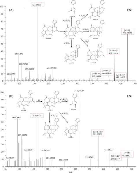 Typical Mass Spectrum And Proposed Fragmentation Pathways Of Limonoids