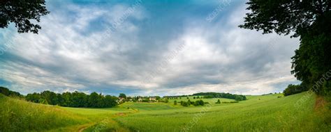 Rural landscape - Stock Image - F037/3029 - Science Photo Library