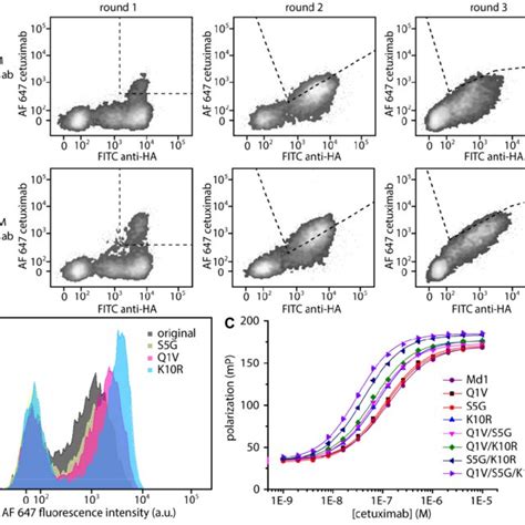 Selection Of Improved Mutants From Single Amino Acid Substitution