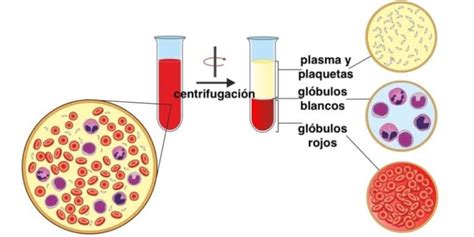 Guía de centrifugación definición y ejemplos prácticos