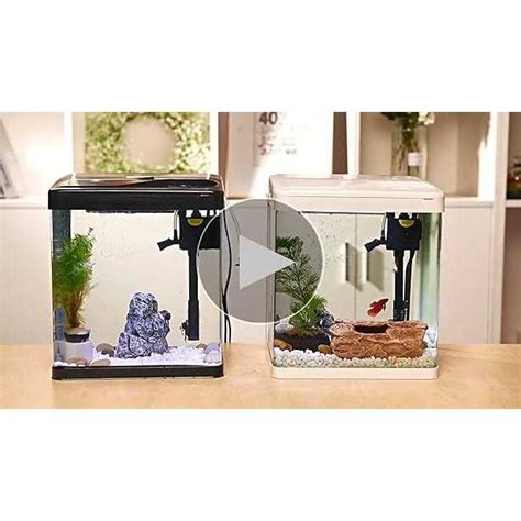 Pondon Betta Fish Tank Gallon Glass Aquarium In Fish Tank With