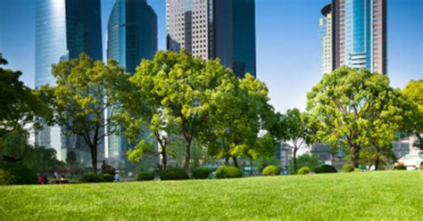 Five Greenest Cities In The U S CBS New York