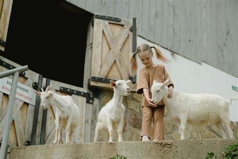 Stable Photos, Download The BEST Free Stable Stock Photos & HD Images