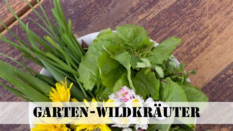 Wildkr Uter Aus Dem Eigenen Garten Youtube