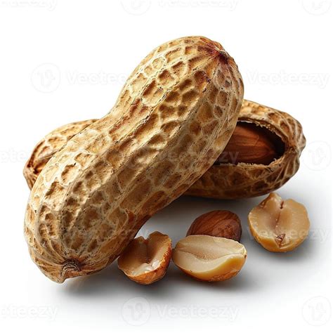 Peanuts In Nutshell Isolated On White Background 45382252 Stock Photo