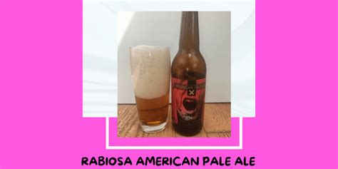 Cerveza Rabiosa American Pale Ale De Cerveza Mica Pasi N Cervecera