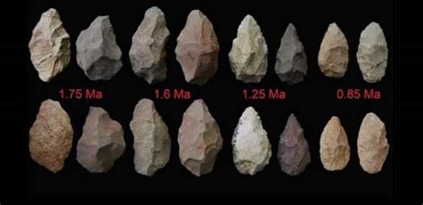 World's Oldest human tools discovered in Africa, dated to 3.3 million ...