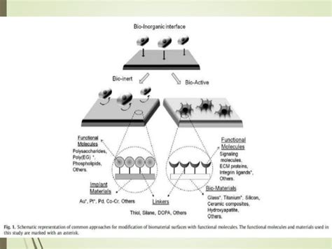 Biomolecules Immobilization