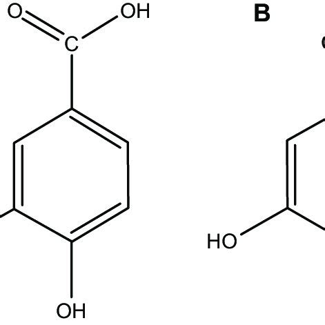 Molecular structure of protocatechuic acid (A) and protocatechuic acid... | Download Scientific ...