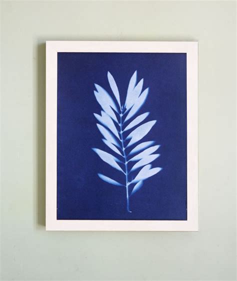 Gorgeous Sunprints Cyanotypes So Simple And So Much Fun Sun Prints