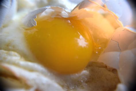 Wallpaper Egg Yolk Poached Egg Food Recipe Fried Egg 6000x4000 895583 Hd Wallpapers