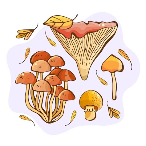 Premium Vector Hand Drawn Illustration Of Forest Mushrooms Gifts And