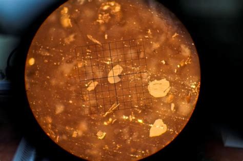 Kerogen Microscopy & Vitrinite Reflectance - Stratochem Services