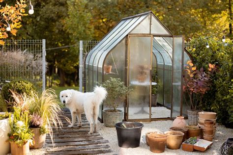 Types Of Backyard Greenhouses Hgtv