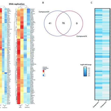 A Heat Maps Of Differentially Expressed Genes Related To The Dna