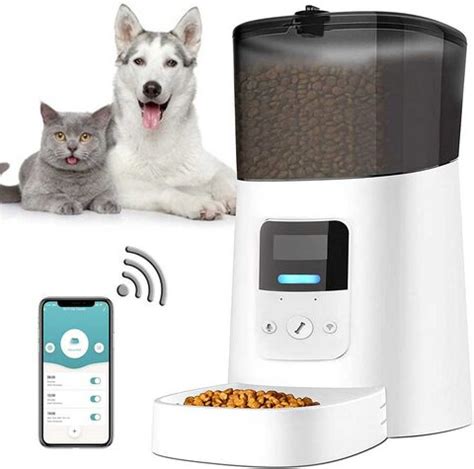 Los 9 mejores comederos automáticos para perros y gatos