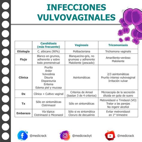 Infecciones Vulvovaginales Medicrack Udocz