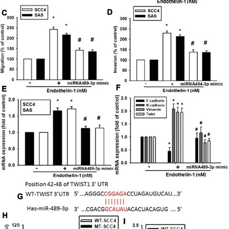 Et 1 Promotes Emt Through Etar Activation In Oscc Cells Et 1 Induces