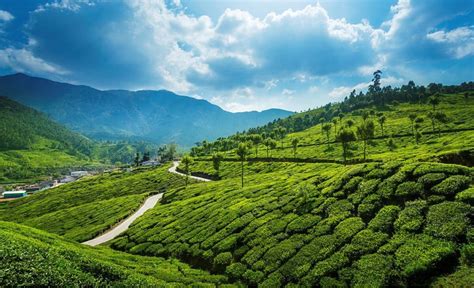 12 Amazing Tourist Places To Visit In Kerala 2023