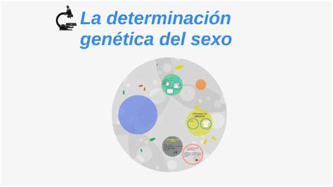 La Determinación Genética Del Sexo By Amaia Martinicorena On Prezi