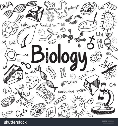 Pin By M🪐 On Gcses Science Doodles Biology Drawing Science Notebook