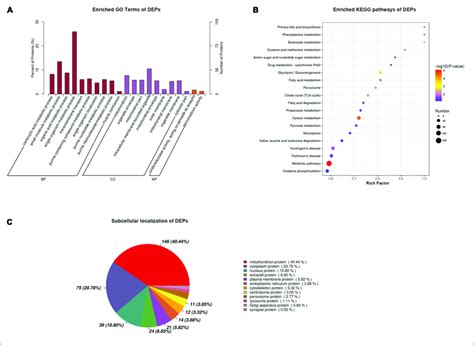 Functional Annotation Of Differentially Expressed Proteins Deps