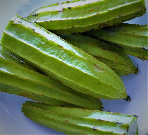 Ridge Gourd Curry Powder Sauté - Mildly spiced vegan sauté.