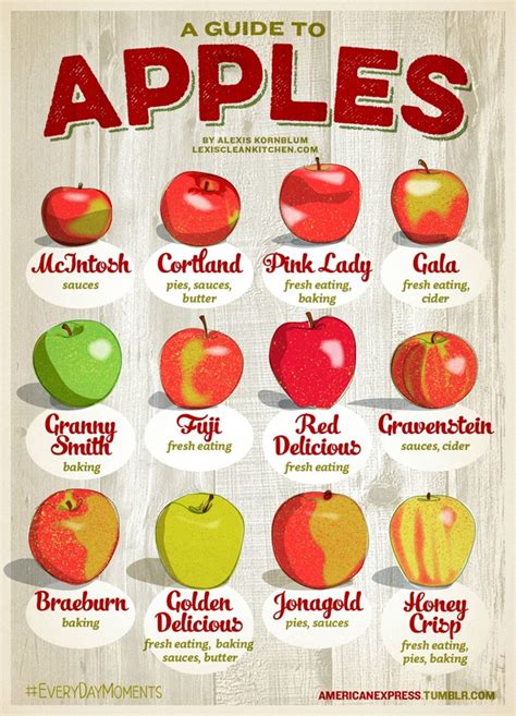 Its Apple Season Heres A Quick Primer On The Different Types Apple