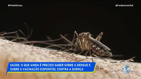 Sa De O Que Ainda Preciso Saber Sobre A Dengue E Sobre A Vacina O