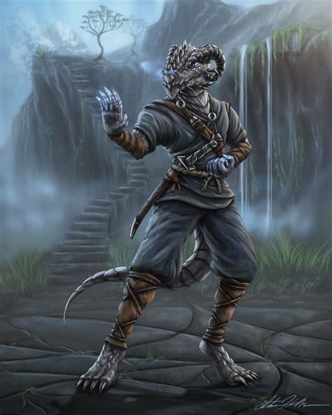 Character Illustration Silver Dragonborn Monk Rio Dndart Dungeons