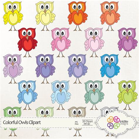 Owl Clip Art Clipart Colorful Owls Rainbow Owls Cute Owls Etsy