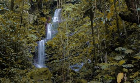 Cascadas Y Ríos Escondidos En Puerto Rico