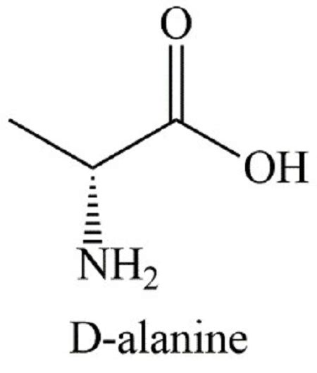 Determine The Point Group Of The D Alanine It Is Absolute