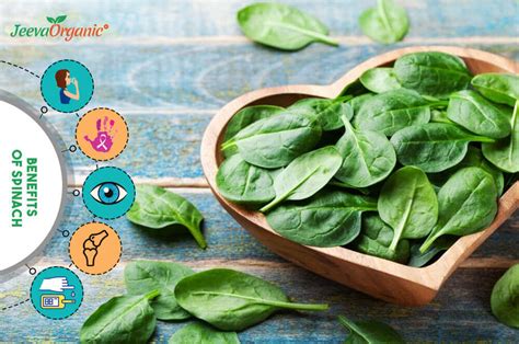 Nutrition Facts and Health Benefits of Spinach | Spinach Benefits