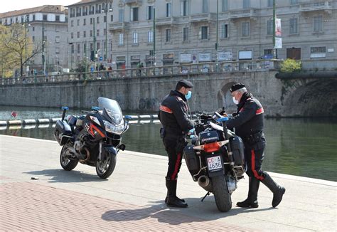 Carabinieri Salvano Cane Dalle Acque Della Darsena Multata La Padrona