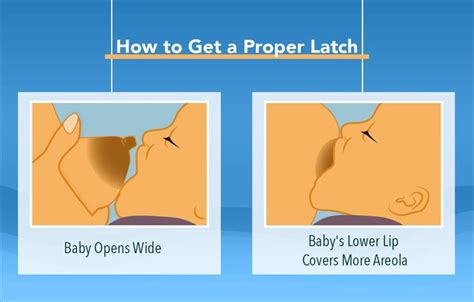 How To Breastfeed And Help Your Baby Latch My Doctor Online