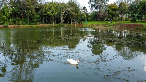 Revitalizada a área verde próxima ao Parque de Máquinas de Selbach JE