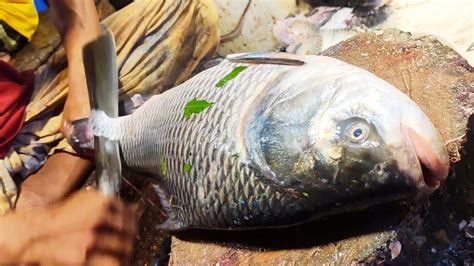 Satisfying Cutting Skills Giant Delicious Catla Carp Fish Cutting