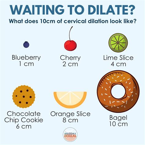 Cervix Dilation Chart Stages Of Labor And What To Expect 51 OFF