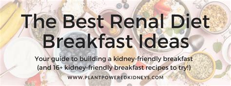 Blog Plant Powered Kidneys Renal Diet For Kidney Health