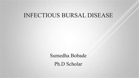 Infectious bursal disease | PPT