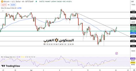 توقع سعر البيتكوين مع ارتفاع فوق 66000 دولار البيتكوين العربي