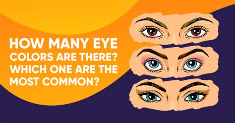 How Many Eye Colors Are There Which One Are The Most Common