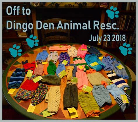 Dingo Den Animal Rescue