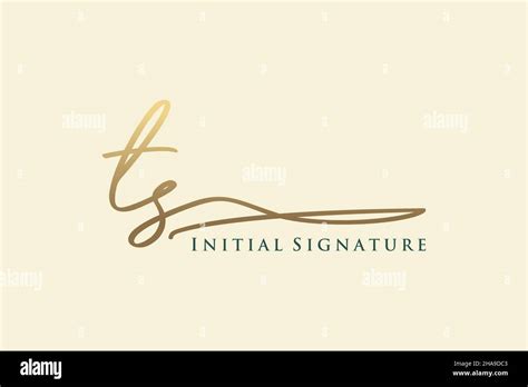 TS Letter Signature Logo Template Elegant Design Logo Hand Drawn